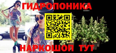 индика Кохма
