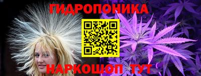индика Кохма