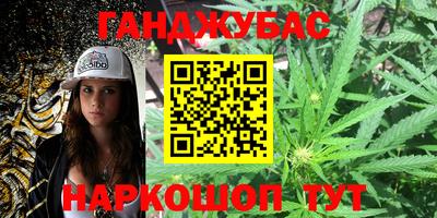индика Кохма