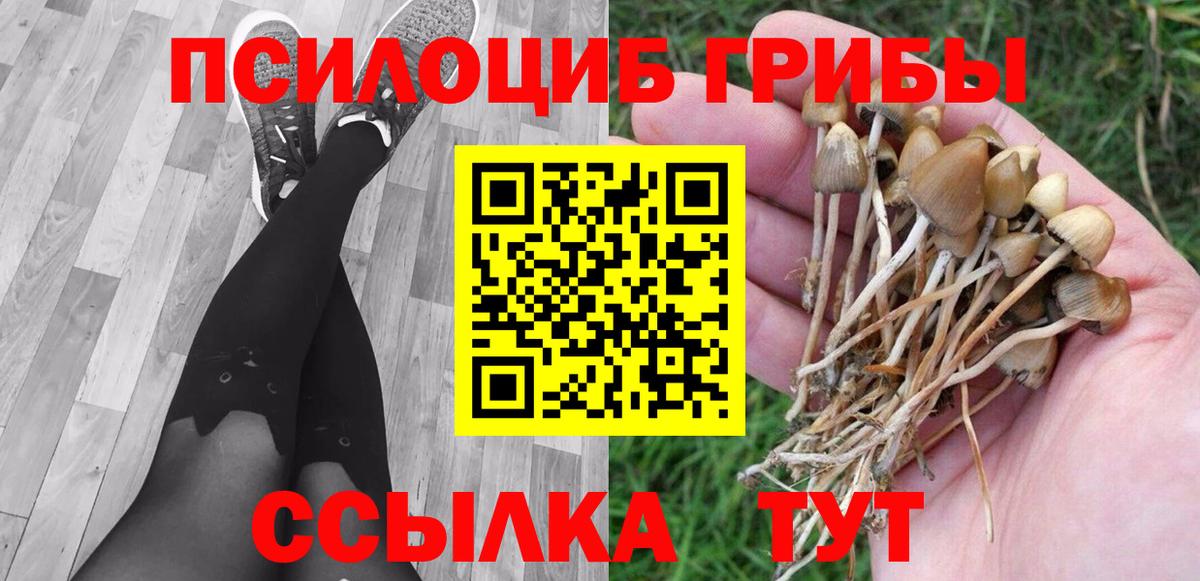 Галлюциногенные грибы мицелий Новокубанск