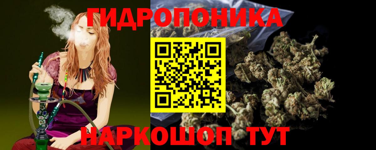 Канабис Ganja  Шишки марихуана планчик  Новокубанск  Вход с VPN  Марихуана White Widow 